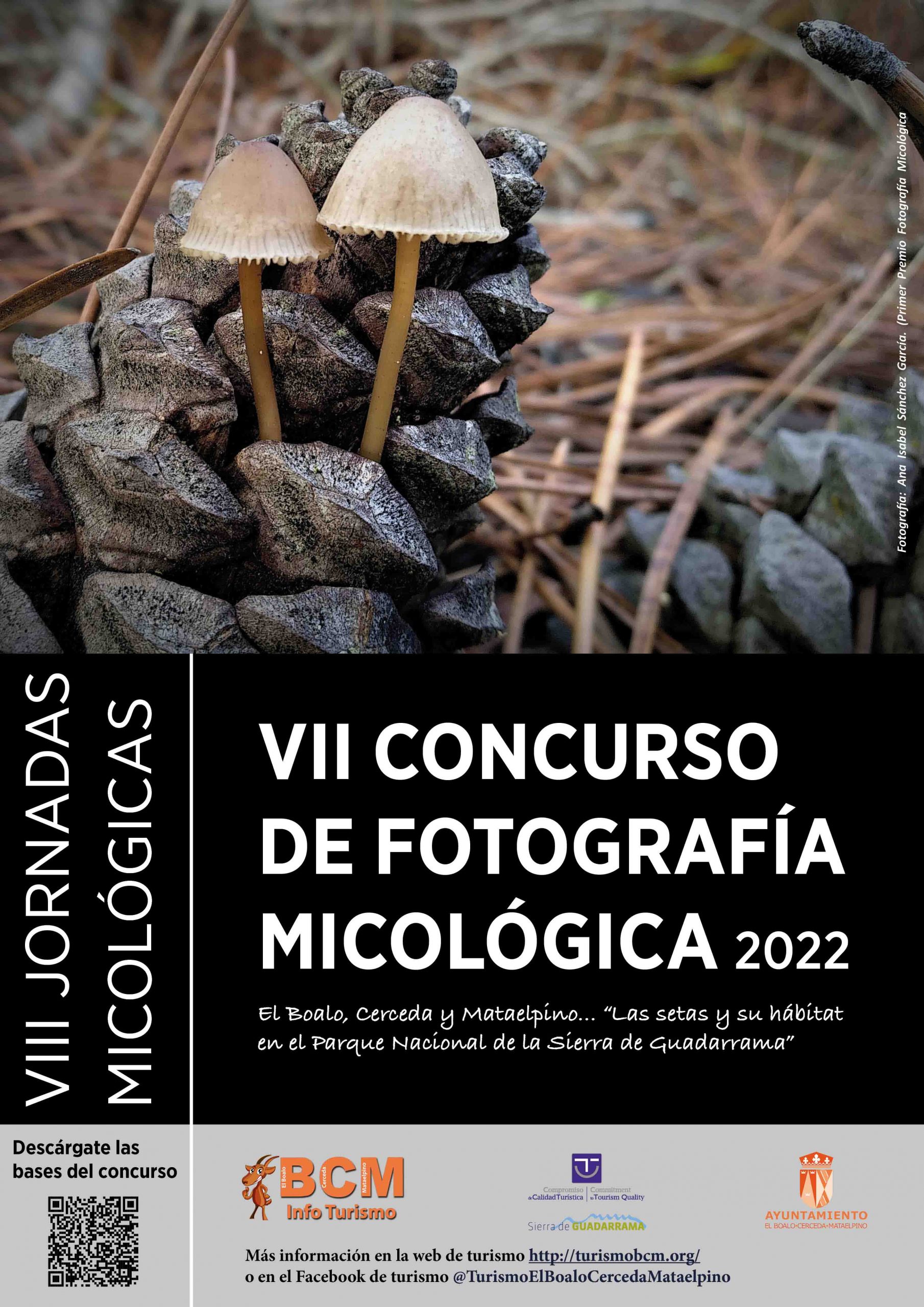 Cartel Concurso de Fotografia_Jornadas Micológicas 2022_web