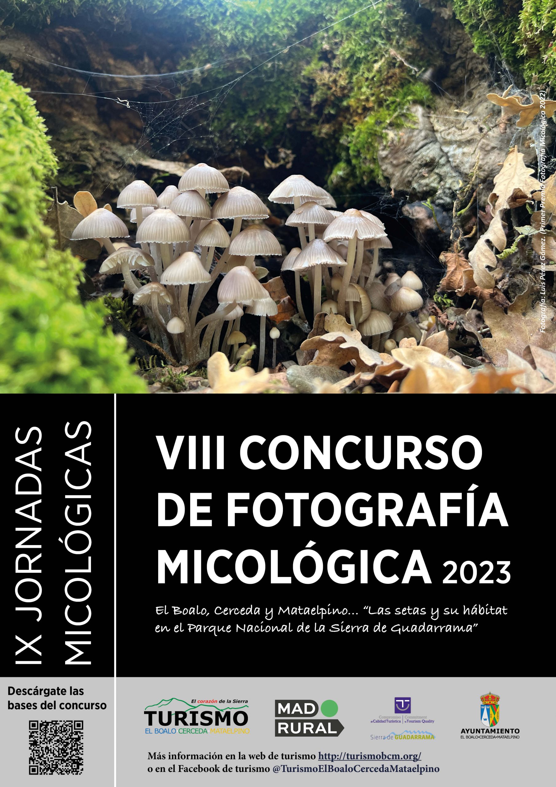 Cartel Concurso de Fotografia_Jornadas Micológicas 2023_web
